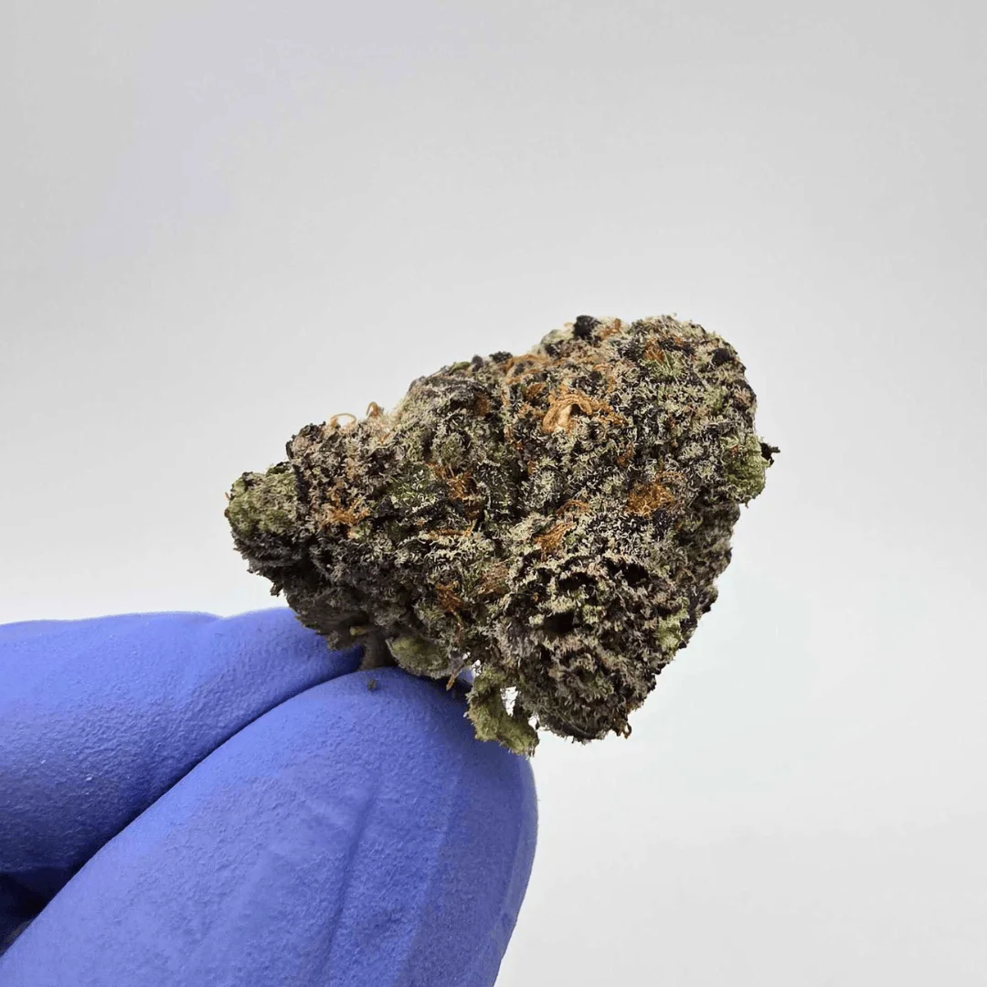 LA Pop Rocks THCA Flower Australia